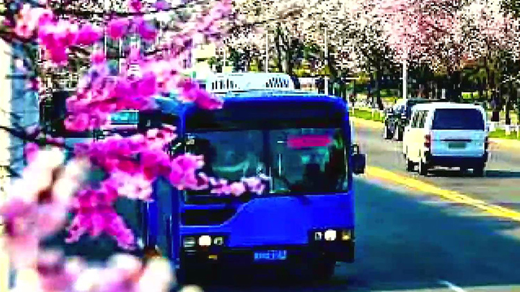 평양 도로 누비는 '개성공단 통근버스'…290대 무단사용