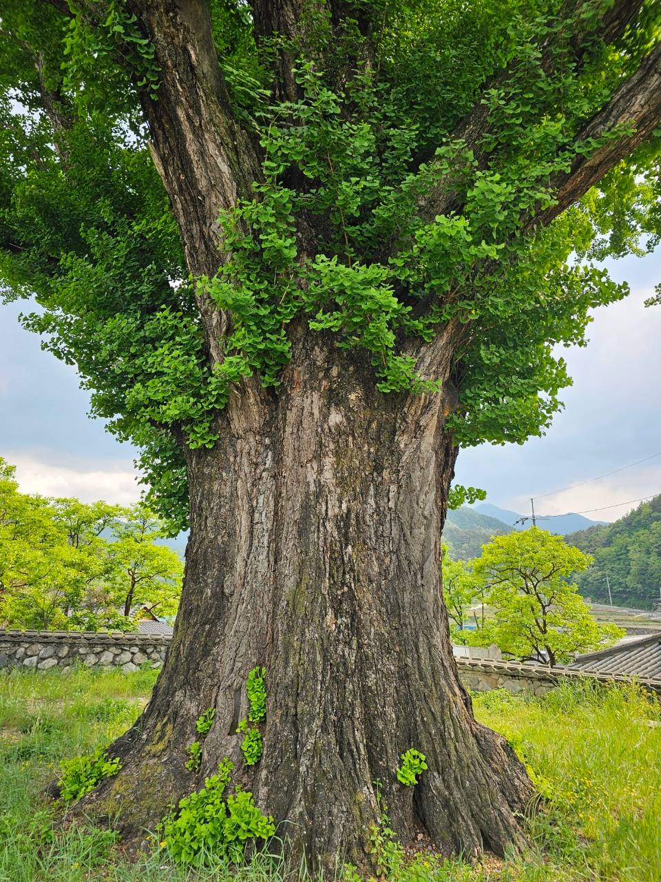 구영회 작가가 찍은 지리산 일대 풍경. /나남출판사 제공