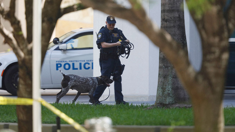 미 경찰견 자료 사진/AFP=연합뉴스