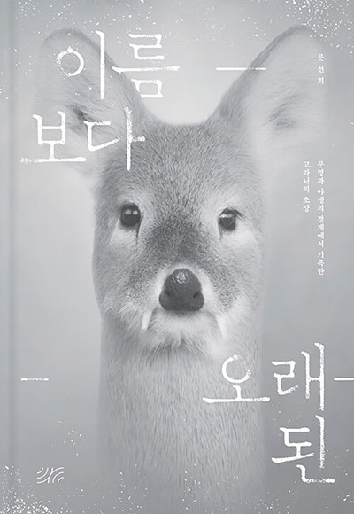 /가망서사 제공