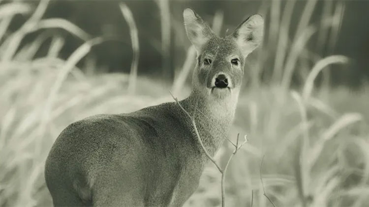 /가망서사 제공