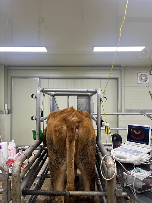 /출처 : 농촌진흥청