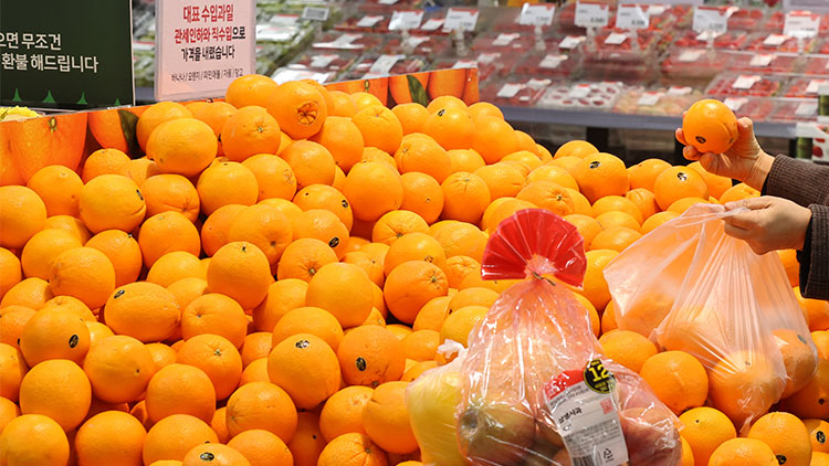 '최대 30% 할인' 바나나·오렌지 오늘부터 마트에 풀린다