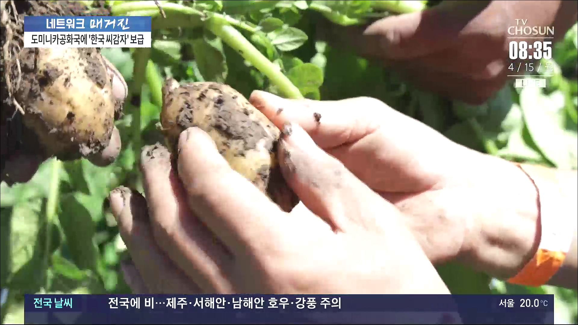 도미니카공화국에 K-농업기술 전수…'감자 생산 38% 증가'