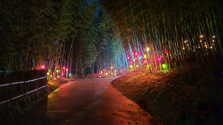 '대숲처럼' 담양 대나무축제, 11일 개막…죽녹원 첫 야간개장