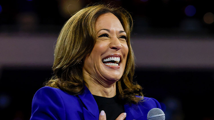 카멀라 해리스 부통령 /AP=연합뉴스