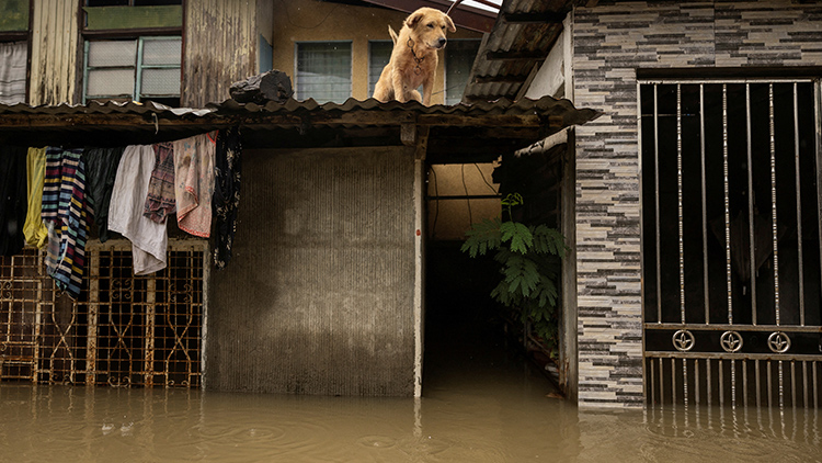 /Reuters=연합뉴스