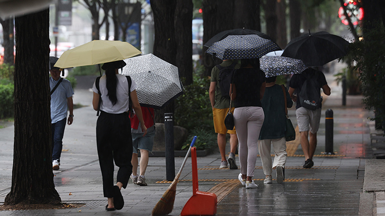 호우주의보에 청계천 '출입 통제'…동해안, 최고 300㎜ 비바람