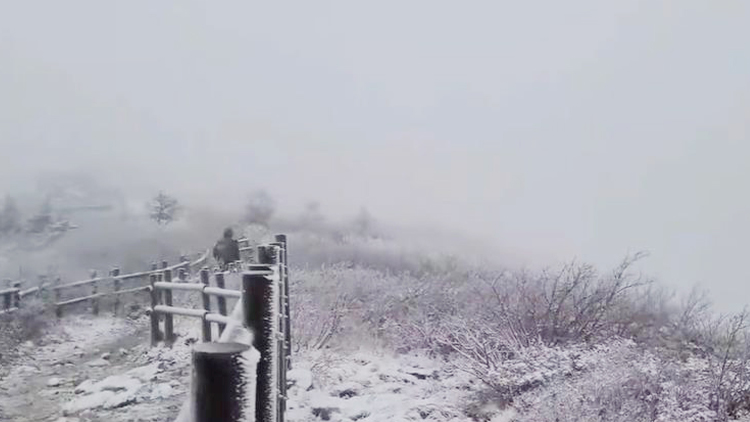 /설악산국립공원사무소 SNS 영상 캡처