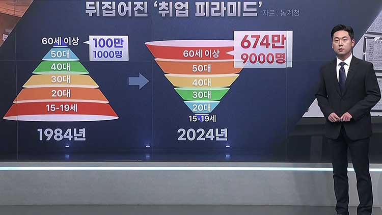 뒤집어진 '취업 피라미드'