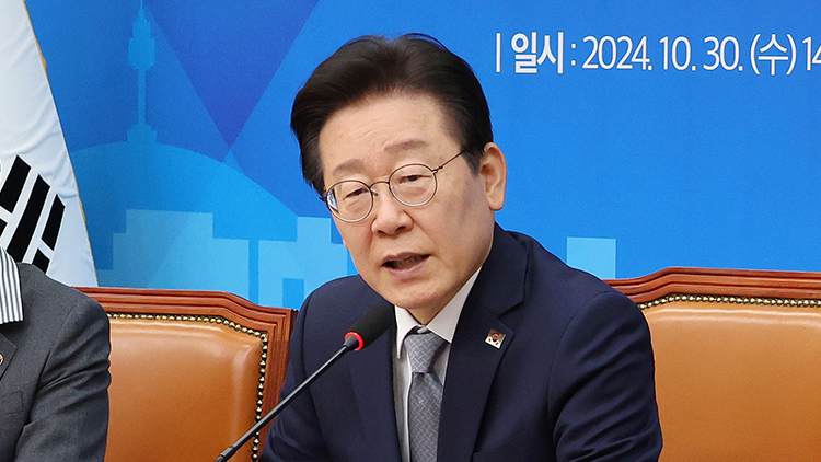 이재명 더불어민주당 대표 /연합뉴스