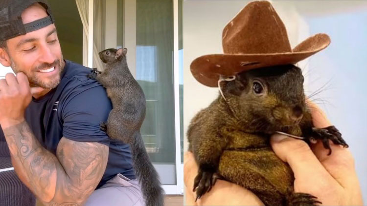 /출처 : 다람쥐 땅콩이 인스타그램