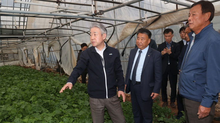 강호동 농협중앙회장이 8일 전남 여수시 소재 무 재배농가에서 생육동향을 점검하고 있다. /농협중앙회 제공