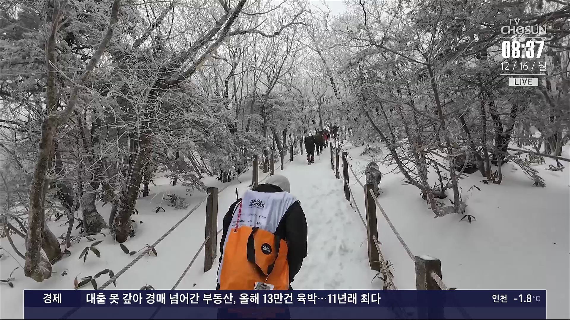 '깨끗한 한라산 만들기'…플로깅 '한라산타' 출동 