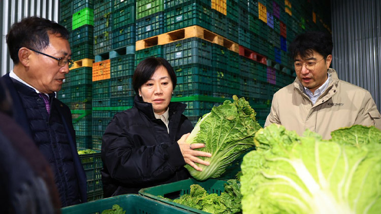송미령 농림축산식품부 장관이 6일 경북 안동의 채소류 출하조절시설을 찾아 배추 상태를 점검하고 있다. /출처: 농림축산식품부
