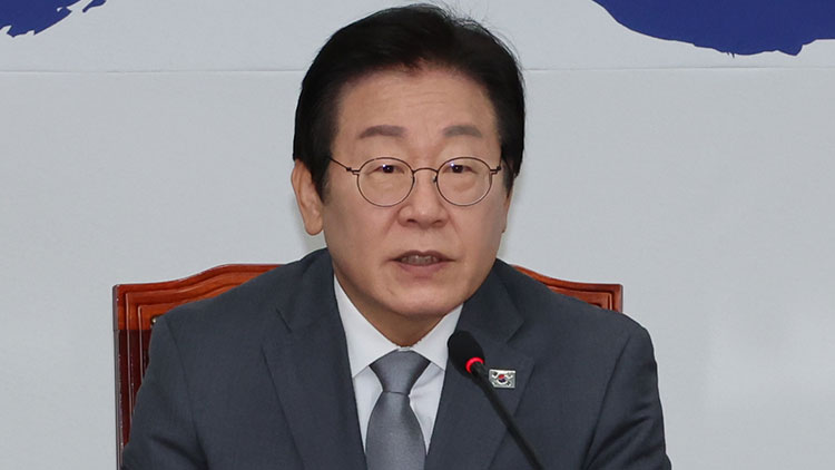 이재명 더불어민주당 대표 /연합뉴스