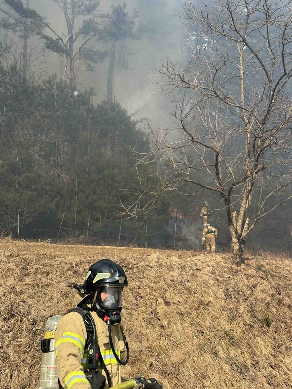 /강릉소방서 제공