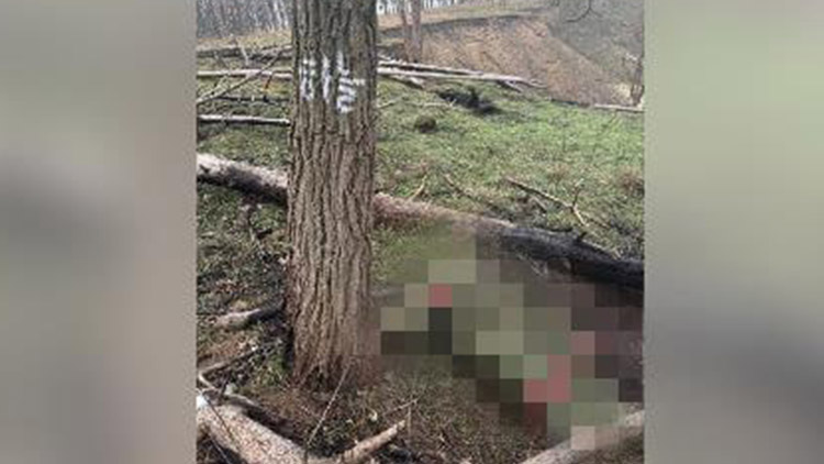 /출처: 우크라이나의 군사 전문 텔레그램 채널 '브라티 포 즈브로이'