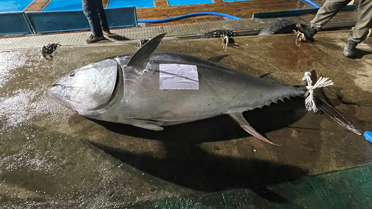 /영덕군청 제공