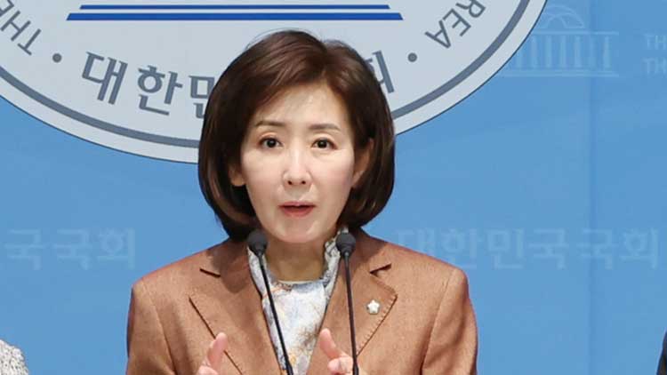 국민의힘 나경원 의원 /연합뉴스