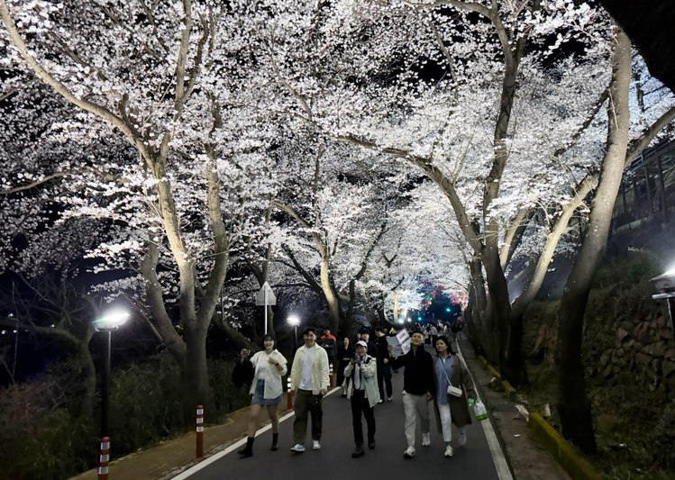 /경남 하동군 제공