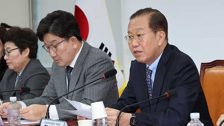 국민의힘 권영세 비상대책위원장이 17일 서울 여의도 국회에서 열린 비상대책위원회의에서 발언하고 있다. /연합뉴스 