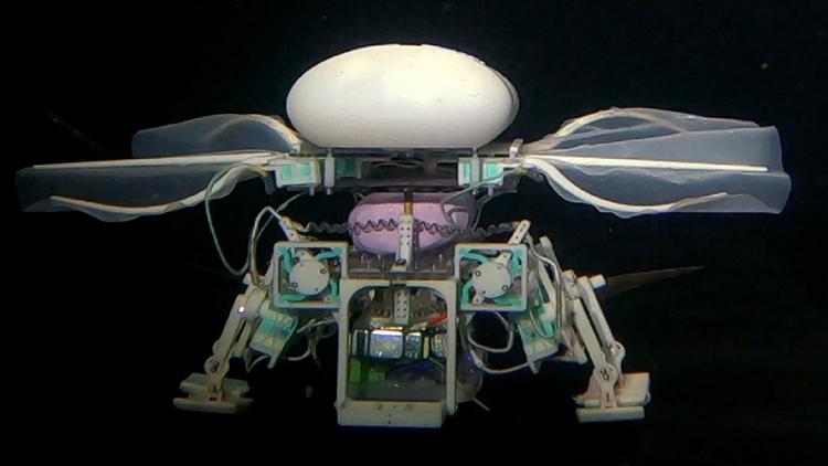 /'사이언스 로보틱스' 홈페이지 캡처 