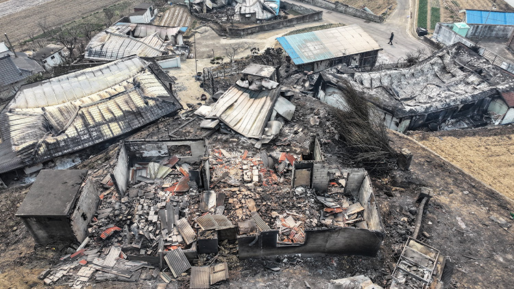 26일 경북 영덕군 영덕읍 매정1리 마을 대부분 주택이 산불에 불타 폐허로 변해 있다. /연합뉴스