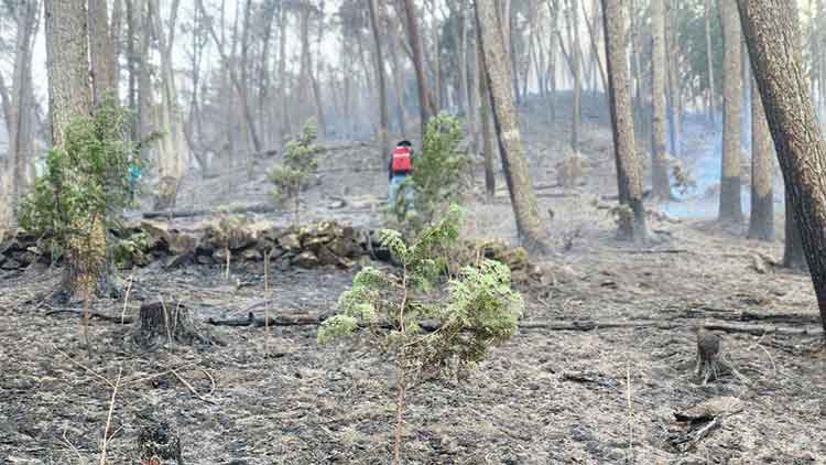 지난 7일 낮 12시 5분께 경남 하동군 옥종면 한 야산에서 산불이 난 가운데 산불진화대원이 불을 끄고 있다. /연합뉴스 
