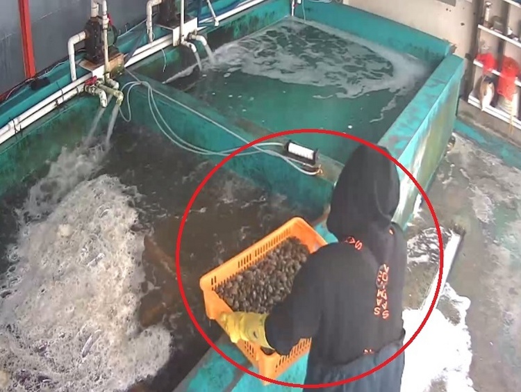 /사천해양경찰서 제공