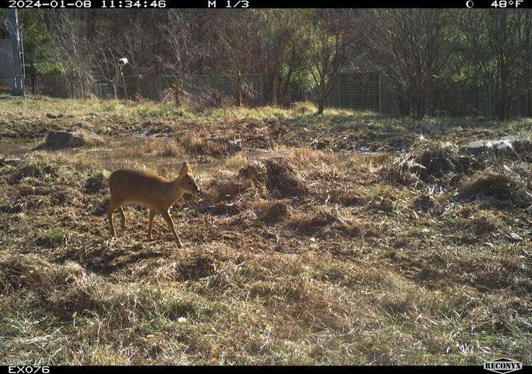 출처 : 한국도로공사