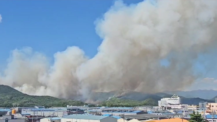대구 함지산 산불 /독자제공