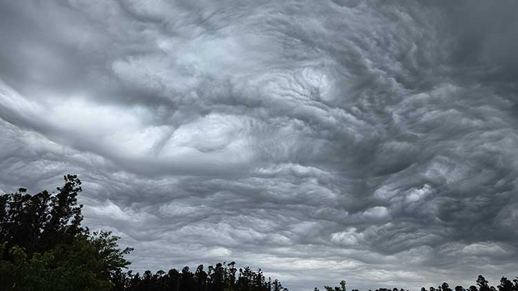 5일 제주시 애월읍 중산간에서 바라본 하늘에 기묘한 모양의 구름이 떠있다. 이 구름은 파상고층운으로, 거친물결구름이라고도 불린다.  /연합뉴스 