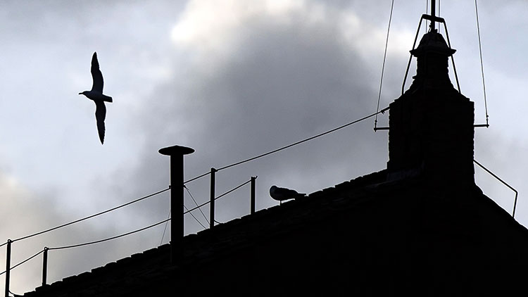 제267대 교황 선출을 위한 콘클라베를 앞두고 바티칸 시국 성 베드로 광장 시스티나 성당 지붕에 설치된 굴뚝 모습 /EPA=연합뉴스
