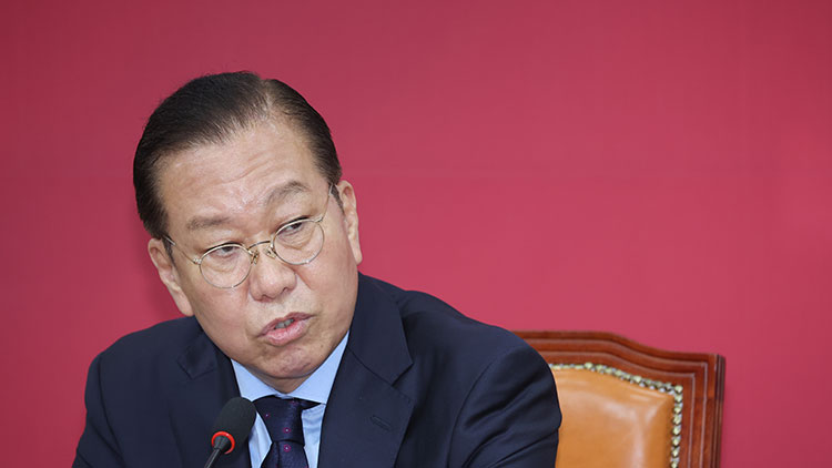 국민의힘 권영세 비상대책위원장 /연합뉴스