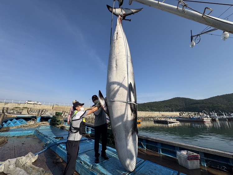 /여수해양경찰서 제공