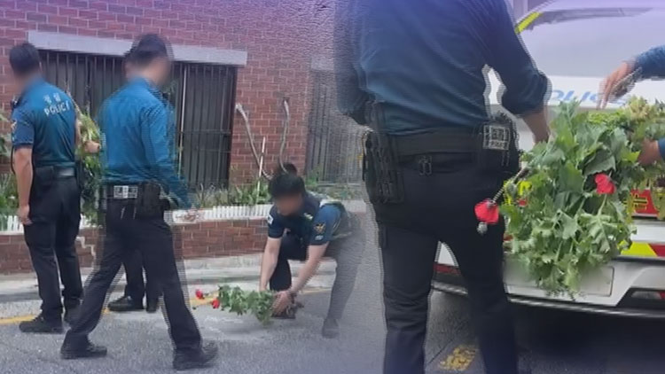 "예뻐서 키웠는데, 알고보니 양귀비"…주택가 발코니에 핀 마약