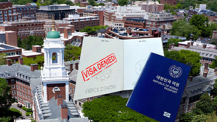 /TV조선 방송화면 캡처