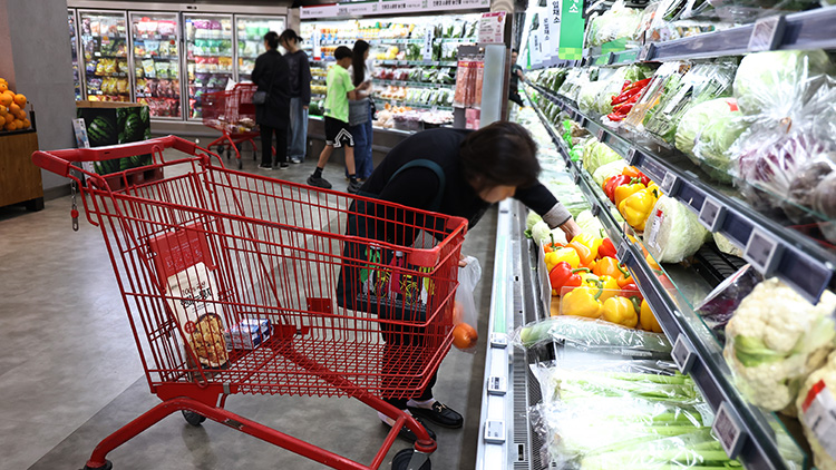 서울의 한 대형마트를 찾은 시민들이 장을 보고 있다. /연합뉴스