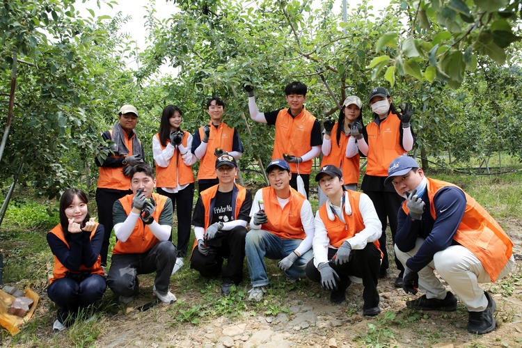 한화 경기 연천 사과농가 봉사활동 (제공 : 한화)