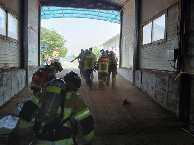 /인천소방본부 제공