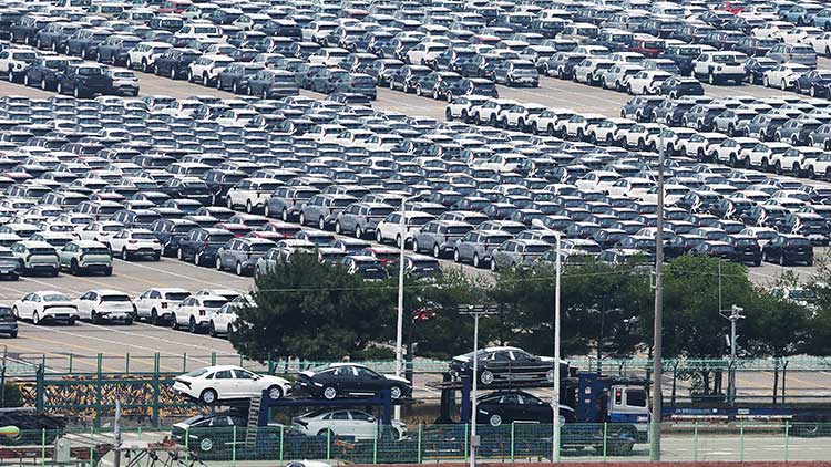 /TV조선 방송화면 캡처