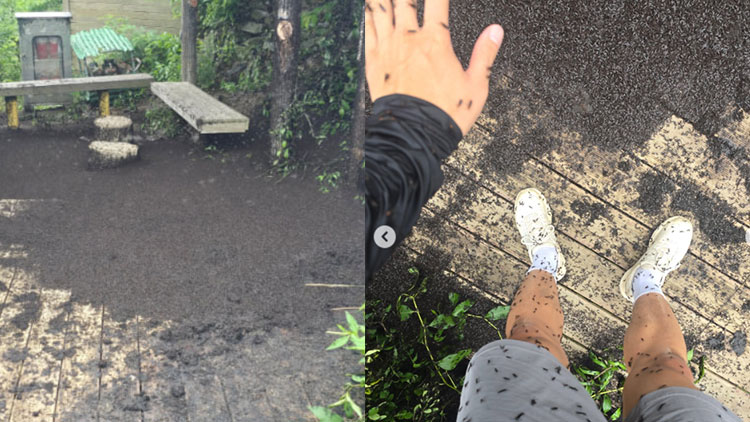 29일 오후 3시쯤 인천 계양산 정상 모습 /인스타그램 계정 hotsun.92 제공