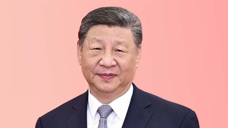 시진핑 중국 국가주석 /AP=연합뉴스