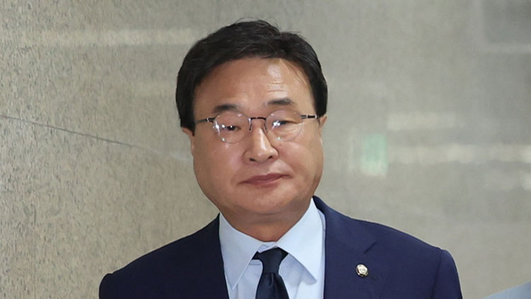 국민의힘 김대식 비상대책위원 /연합뉴스