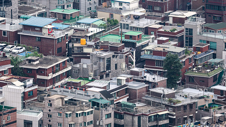 /TV조선 방송화면 캡처