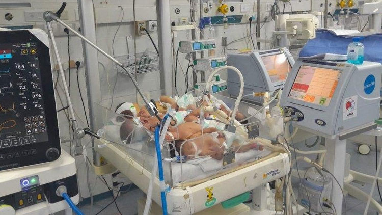 /가자시티 알아흘리 병원 파델 나임 원장 엑스 계정 캡처