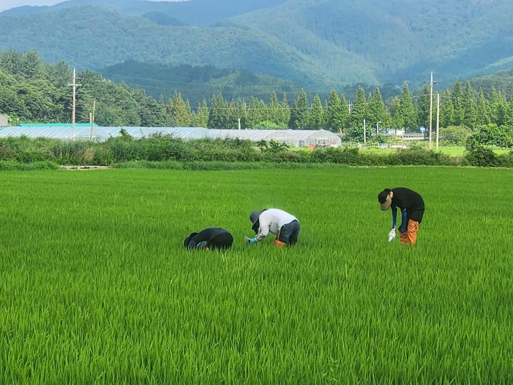 경상남도청 제공