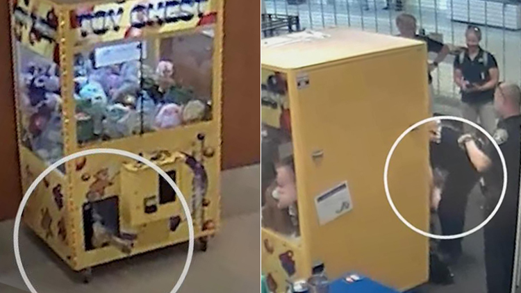 /사진출처=유튜브(WLWT, WDTNTV)