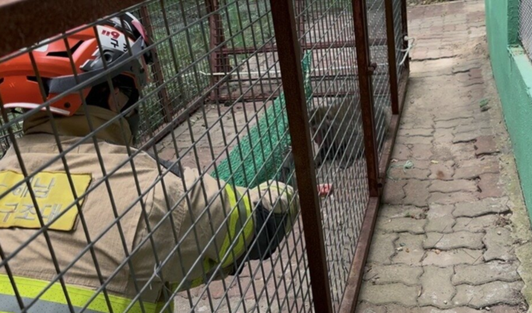 해남소방서 119소방대원이 탈출한 원숭이를 포획하기 위해 달래고 있다.  /해남소방서